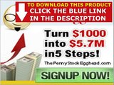 The Penny Stock Egghead   Penny Stock Egghead Pump And Dump