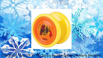 Duncan Flipside Yo Yo Review