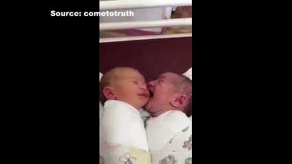 Baby Sucking Other Baby's Face - pulse tv uncut
