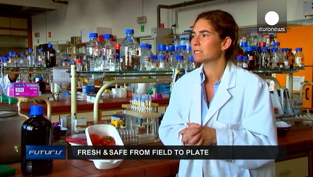 Freschi e sani: gli ortaggi dal campo alla tavola