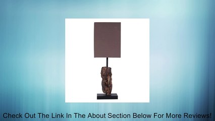 LightMakers CHUNKY Table Lamp w Brown Shade Review