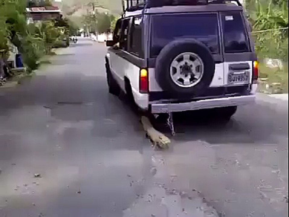 great mind work