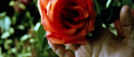 A single man trailer