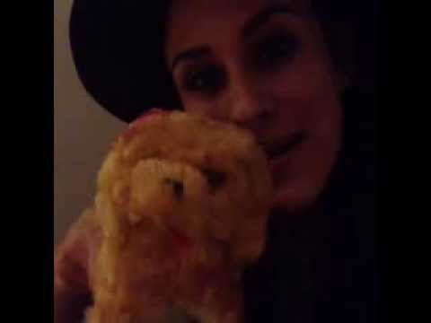 Look at this cute little puppy Randal Kirk II got me!: Brittany Furlan's Vine #553