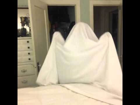 What we thought ghosts would do if we hid under our covers as kids: Brittany Furlan's Vine #549