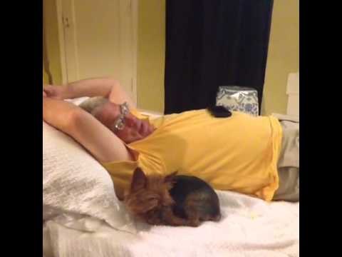My dad LOVES coming to visit me.: Brittany Furlan's Vine #366