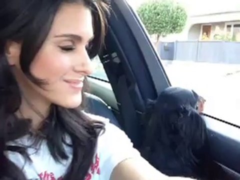 What happens pretty much every time I think a hot guy is hitting on me.: Brittany Furlan's Vine #327