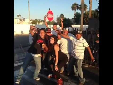 1 Million Followers! Never forget: Home Depot's where the party's at!: Brittany Furlan's Vine #293