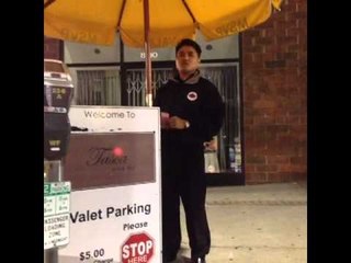 how to hit on a valet: Brittany Furlan's Vine #218