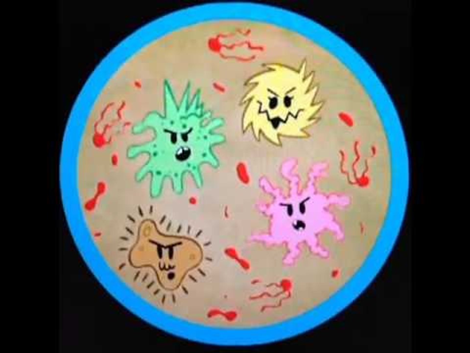 What really happens when you brush your teeth: Brittany Furlan's Vine #150