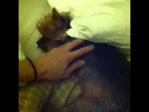 how to be a total creep when everyone's sleeping pt. 2: Brittany Furlan's Vine #100