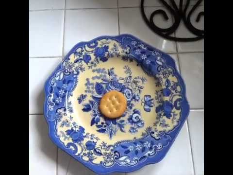 how to it's time for lunch!: Brittany Furlan's Vine #101