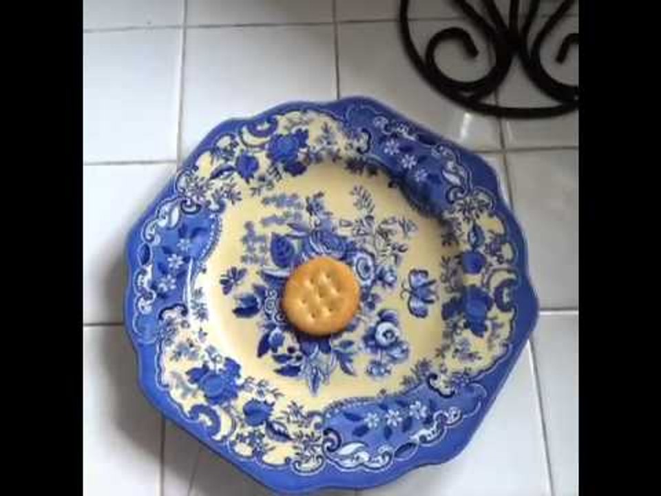 how to it's time for lunch!: Brittany Furlan's Vine #101