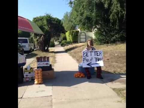 the homeless beekeeper is an entrepreneur: Brittany Furlan's Vine #113