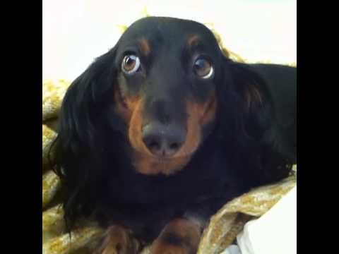 how to wake up after 1pm: Brittany Furlan's Vine #67