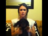 HowTo do the Harlem shake (sorta): Brittany Furlan's Vine #12