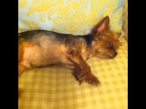 Ooooh it's Friday night again!: Brittany Furlan's Vine #15