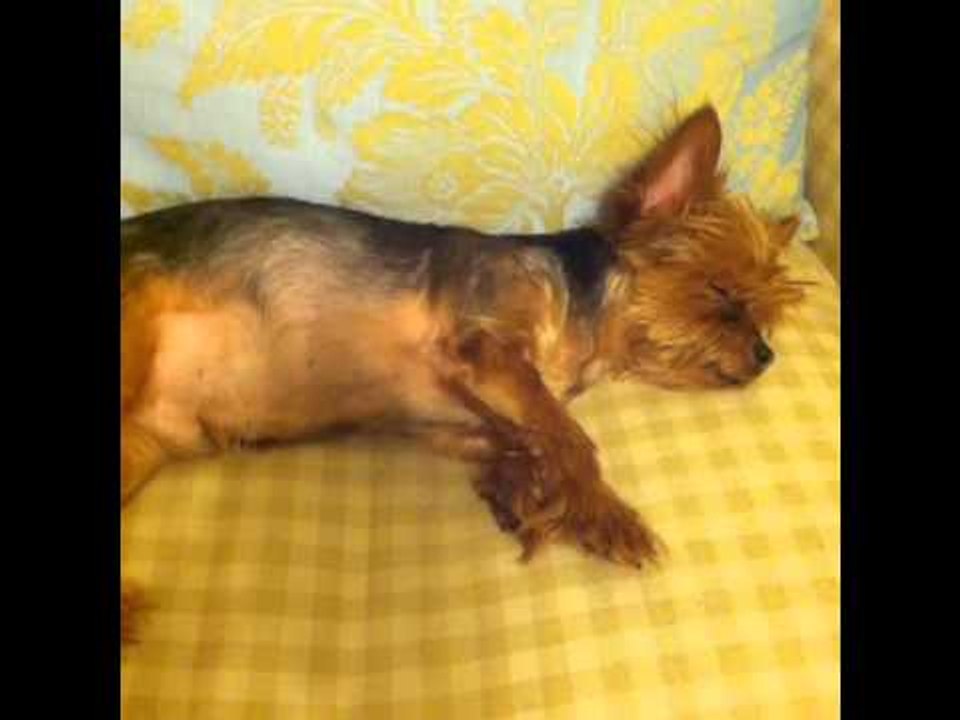 Ooooh it's Friday night again!: Brittany Furlan's Vine #15