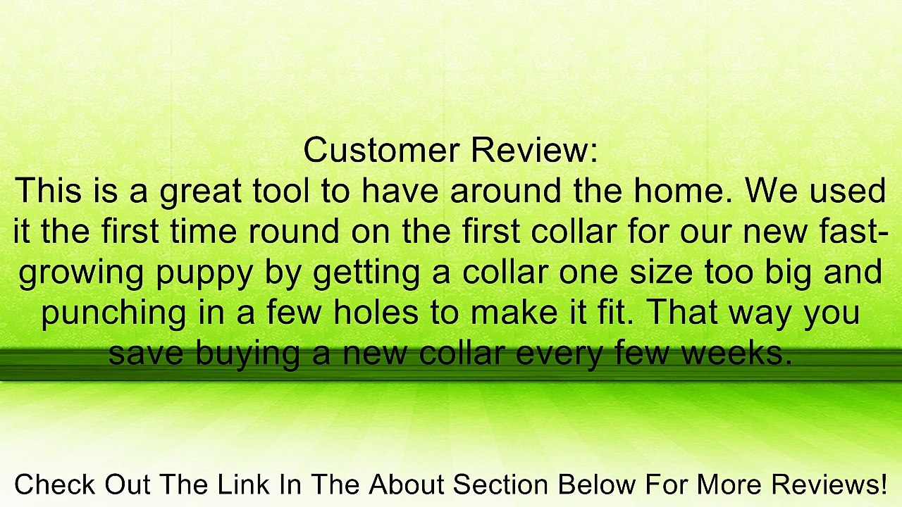 Beltopro, Belt Hole Puncher, Round Holes Review