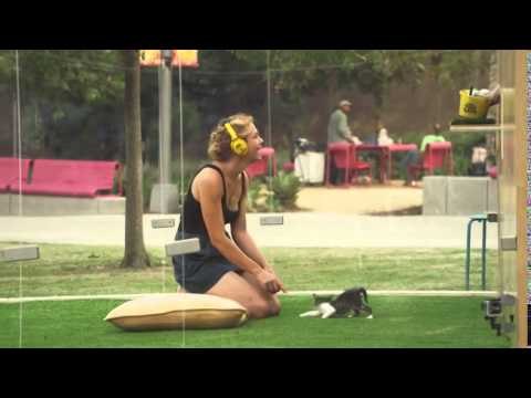 Stres Atmaya Bire Bir Yavru Kedi Terapisi