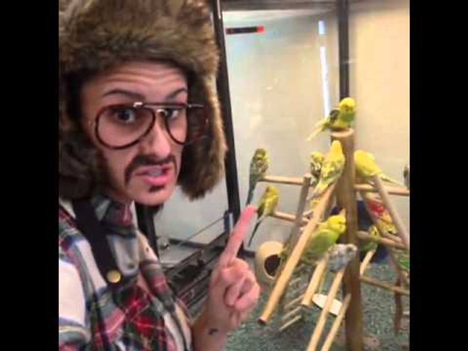 The retired beekeeper show you around his ne job at Petco: Brittany Furlan's Vine #179