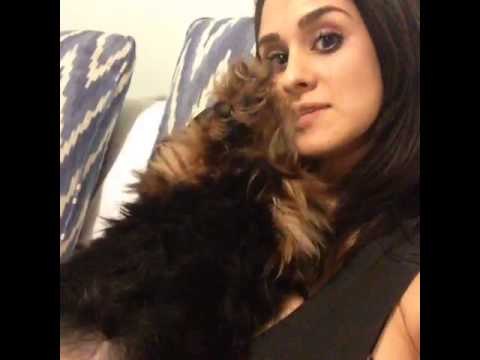 Wow.... My dog is SO mean: Brittany Furlan's Vine #562
