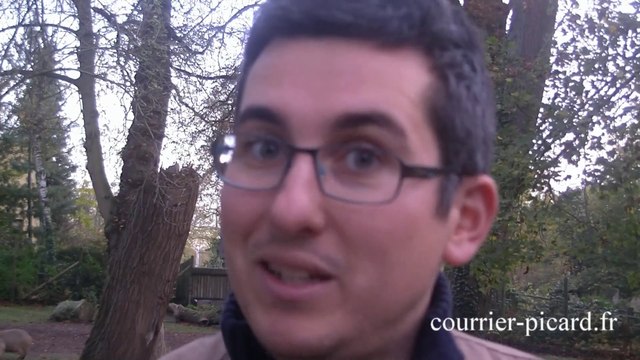 Retrouvailles entre les ocelots au zoo d'Amiens