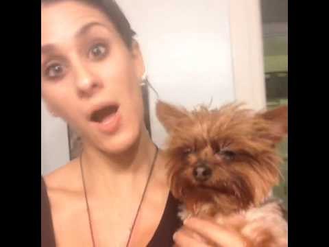 I dare you to not get this stuck in your head. The Wicky Song.: Brittany Furlan's Vine #339