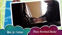 Johnny Hallyday Que je t'aime, version piano solo