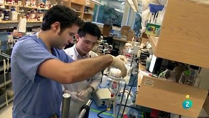 Fabricar un corazón con celulas madre (Stem Cells)