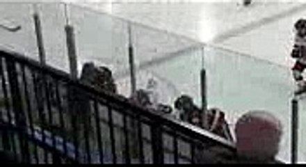 Download electronic lusoga dictionary v.1.0 crack updated