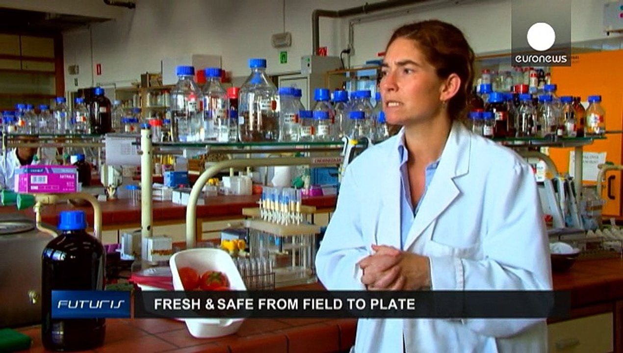 Европейские ученые ищут лучшую упаковку для овощей