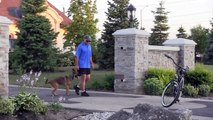 BIKE RIDING WITH CC PROTECTION DOGS | CCPROTECTIONDOGS.COM