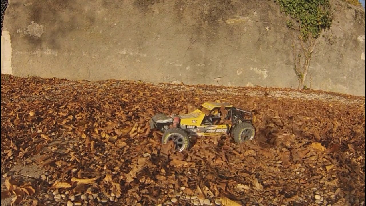 Sandmaster Kyosho RC dans les feuilles