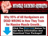 Muscle Gaining Secrets Ferruggia   Jason Ferruggia Muscle Gaining Secrets .pdf Download