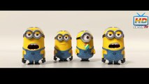 Minions﻿ Singing GO Nawaz Go!! Exclusive HD