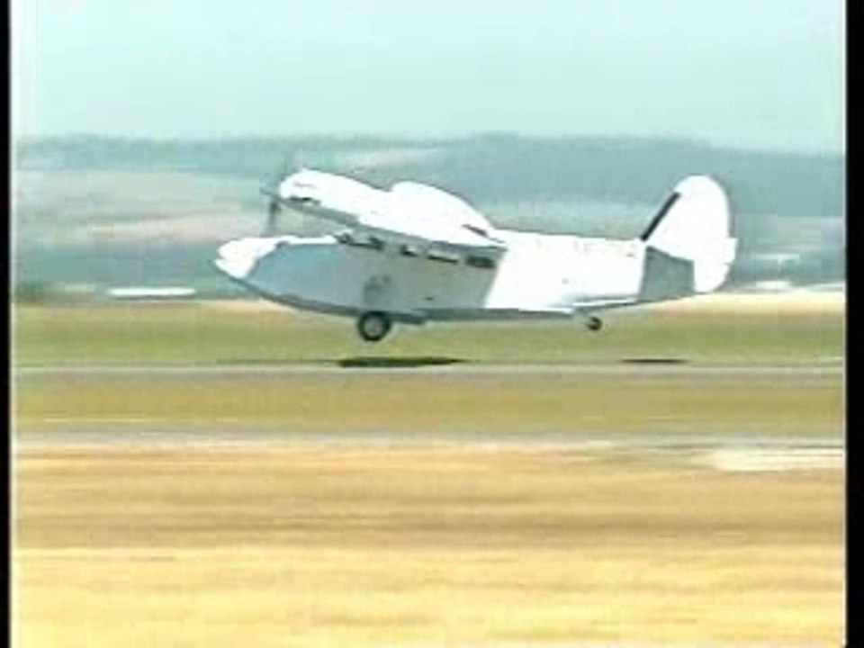 AntillesGooseInFlight
