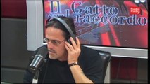 ll gatto sul raccordo - 17 novembre 2014