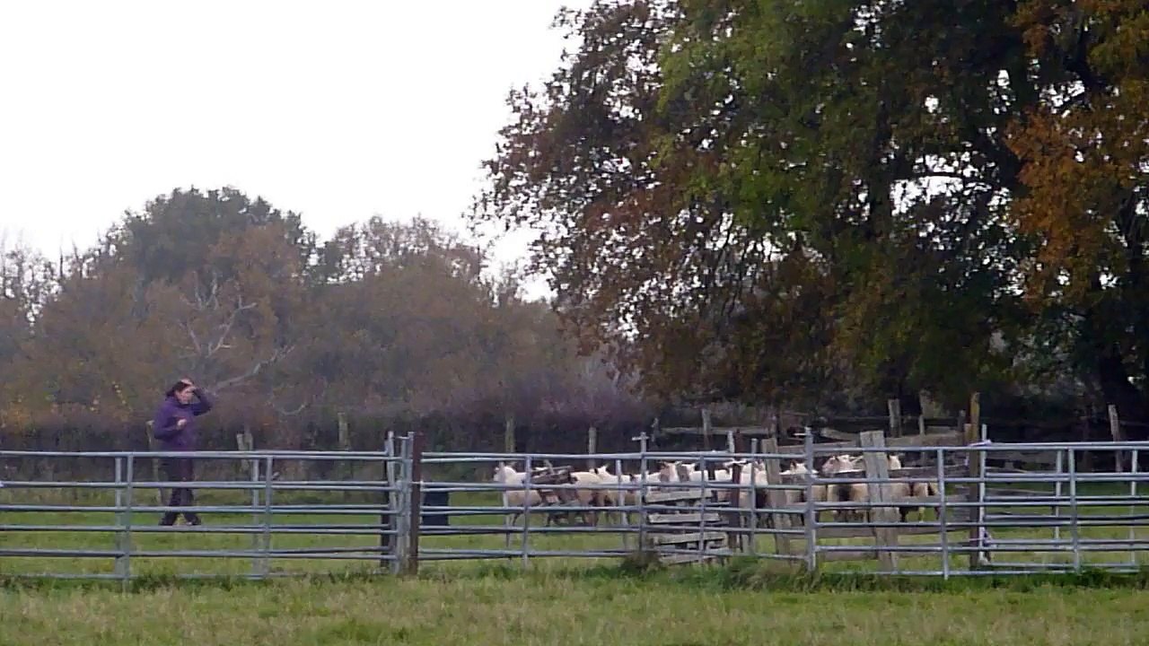 Titou, 3eme partie, le 17/11/2014