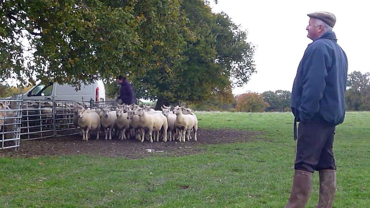 Titou, 1ere partie, le 17/11/14