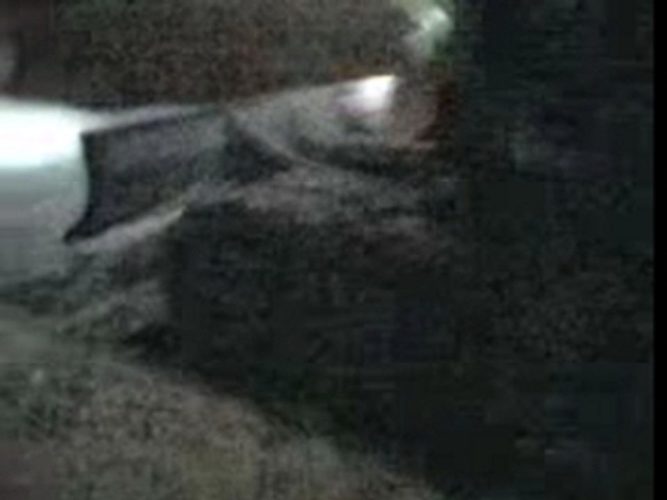 Video-0004