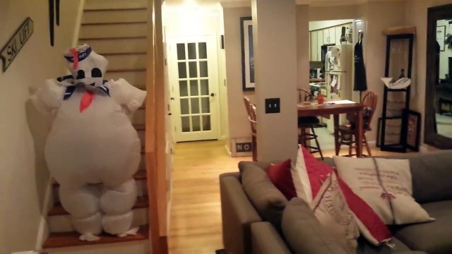 Un chien a peur du costume Ghostbusters