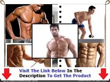 Customized Fat Loss And All Bonus Programs Free Download   Discount