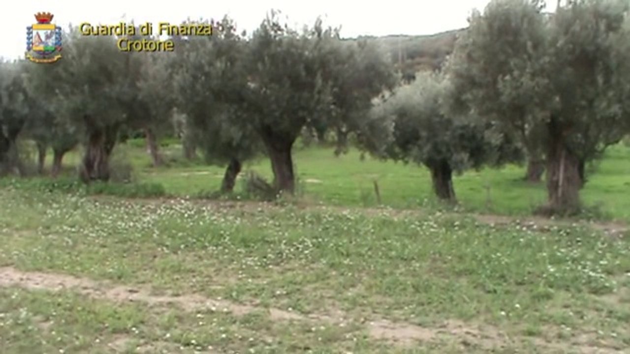 Crotone - denunciati 100 falsi braccianti agricoli, truffa da 620mila euro