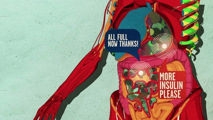 Afinal o que é que o açúcar faz ao cérebro?