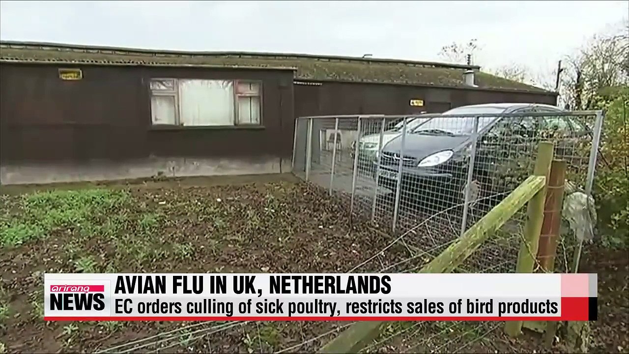 EC adopts measures to contain highly contagious avian flu outbreak