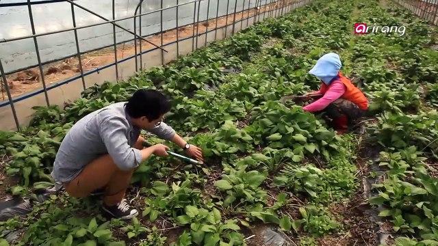 Chefs Foodcation Ep05C2 A Spring Feast