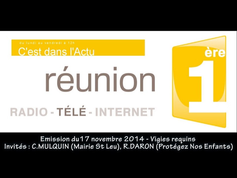 Emission "C'est dans l'actu" du 17/11/2014 - Vigies requins