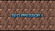 Seopressor Wordpress SEO Plugin, Better, Faster, Higher Ranking!