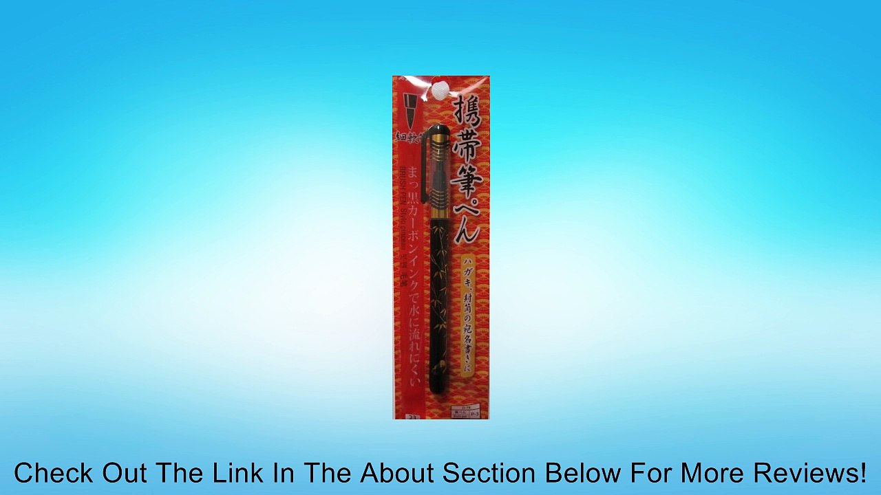 Platinum Japanese Chinese Calligraphy Fude Brush Pen Review